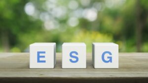 Marsden Group ESG Insights